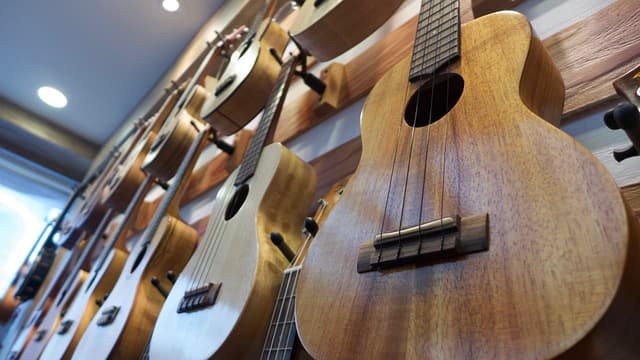 instrument